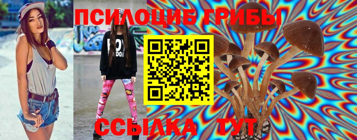 Галлюциногенные грибы прущие грибы  наркота  Псилоцибиновые грибы MAGIC MUSHROOMS  Лениногорск  Вход с VPN 